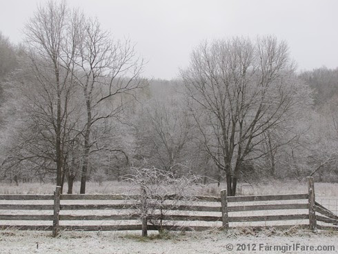 Snowy farm morning 3 - FarmgirlFare.com