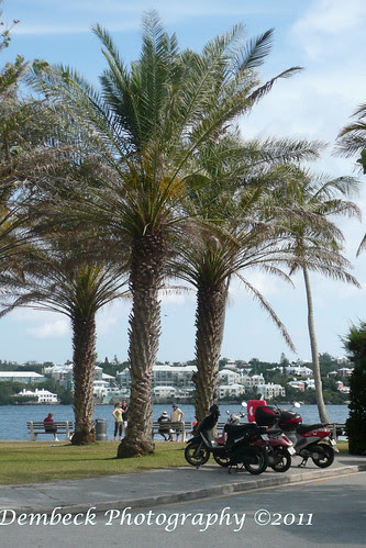 Hamilton, Bermuda