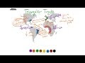 Triangular Trade Definition