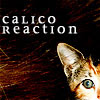 Calico Reaction: Blitz