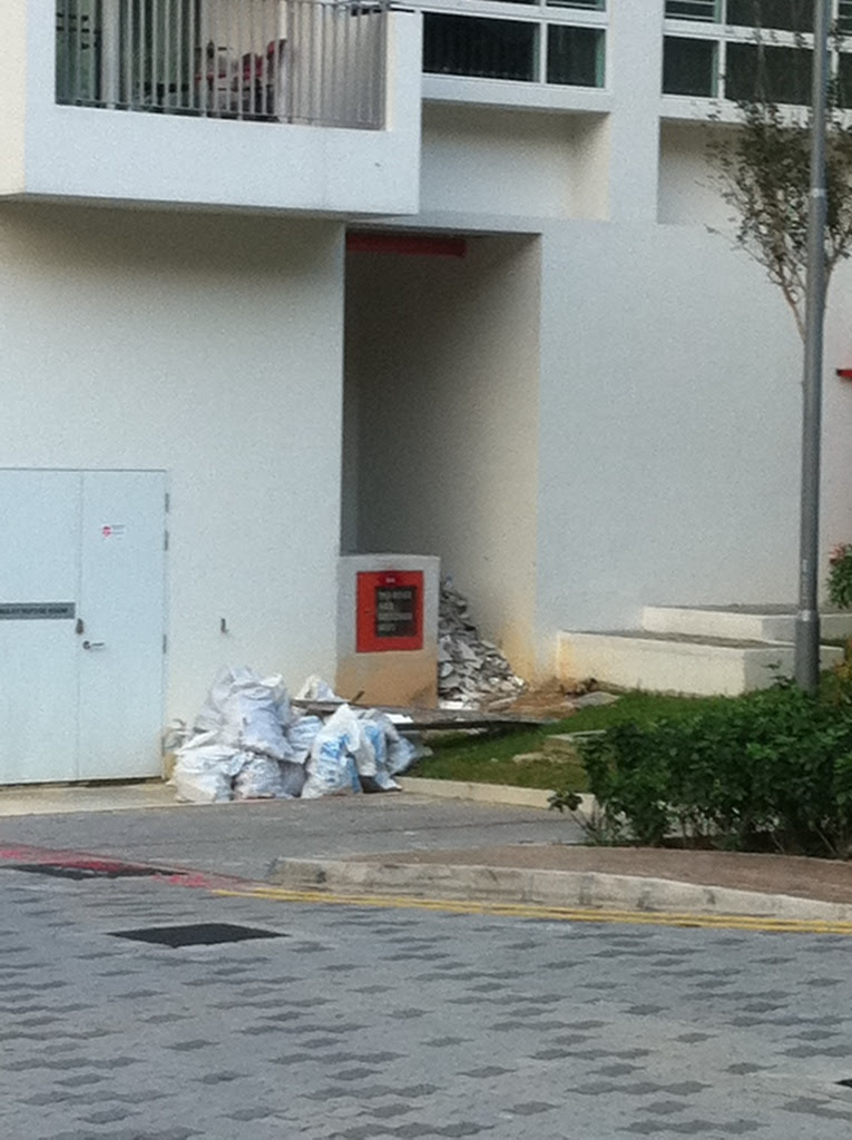 20120815-224222.jpg