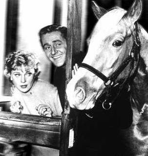Mister Ed