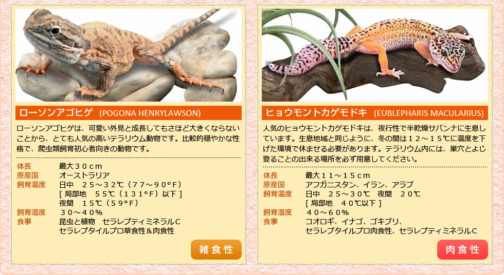 爬虫類 小動物の飼育ガイド 生き物が主役の飼育方法 飼育例 株式会社セラジャパン