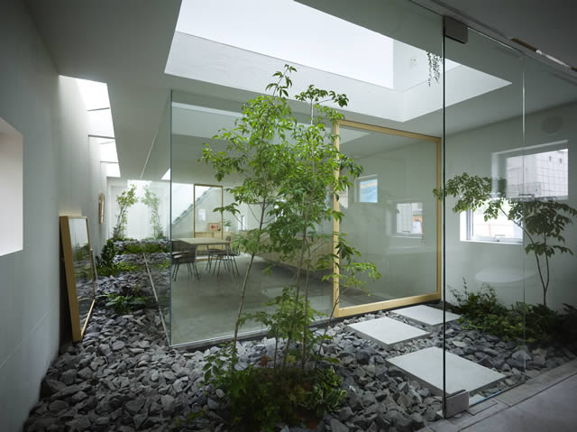 Courtyard Design and Landscaping Ideas