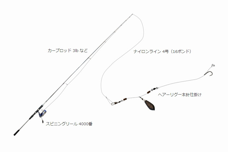 鯉のぶっこみ釣り 鯉釣り Light Blue 釣り方 仕掛け ポイント 餌など