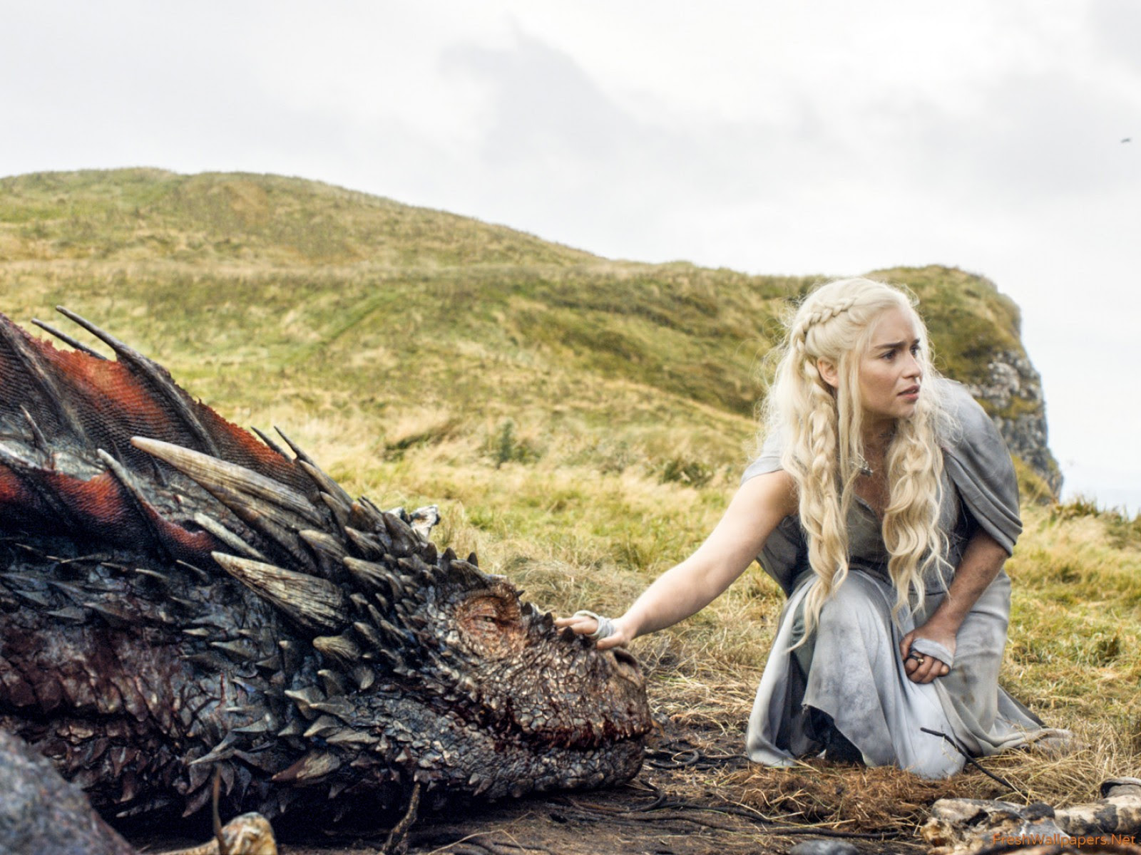 Game Of Thrones Images Mother Of Dragons Hd Wallpaper And Background