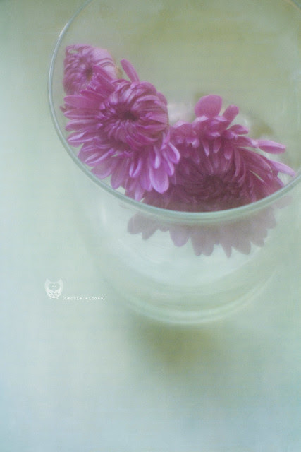 247/365: .Beauty.