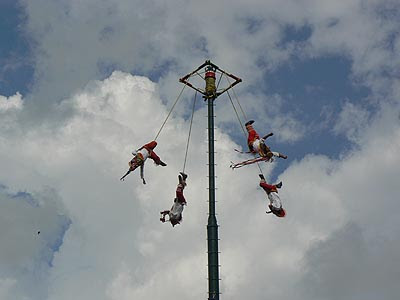 voladores en vol.jpg