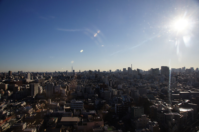 DSC07906