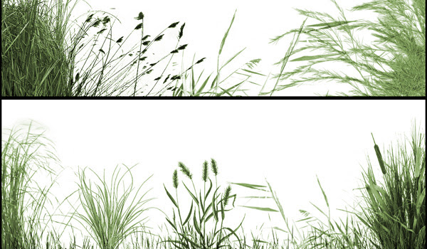Grass Brushes Photoshop