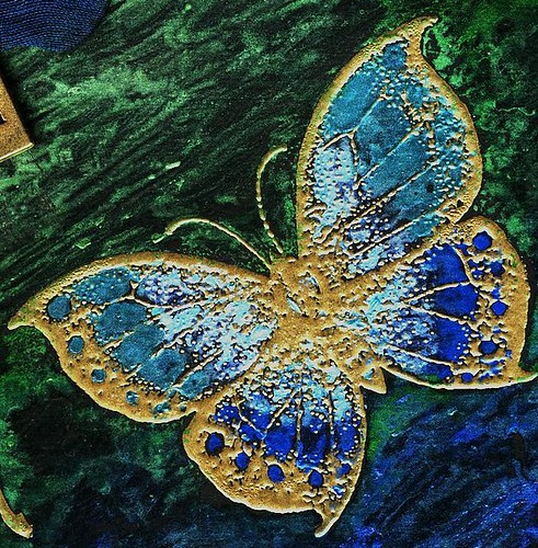 Dream Butterfly - close up