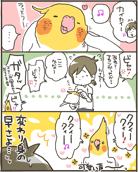 オカメインコの可愛いモードのon Off マルといっしょ Powered By ライブドアブログ