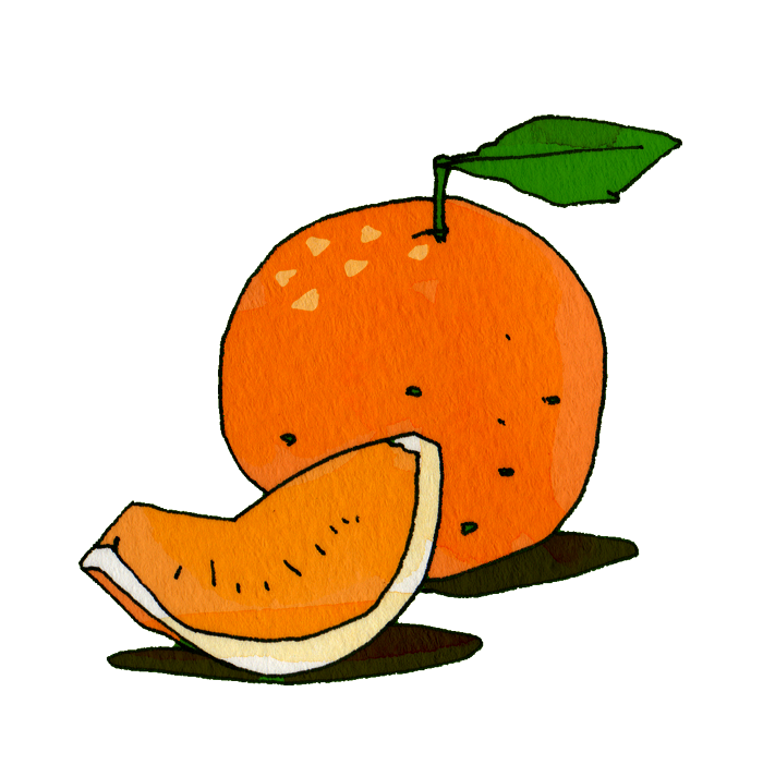 オレンジのイラスト かわいいフリー素材が無料のイラストレイン