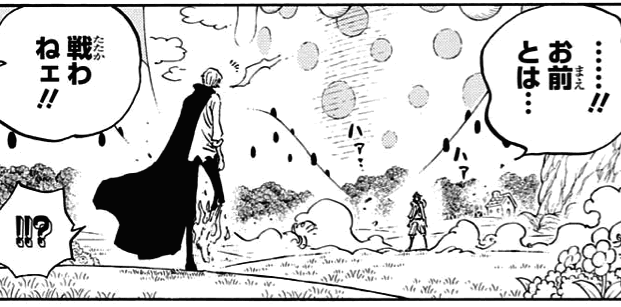 Onepiece 844 ルフィ Vs サンジ 我思う故に 新館我思う故に 新館