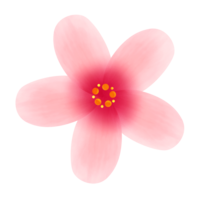 ピンクのツツジの花の無料素材 イラスト沖縄 おきなわ