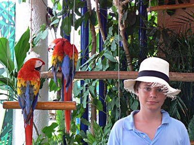 Paul avec les 2 péroquets.jpg
