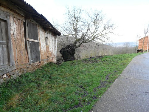 Cegoñal