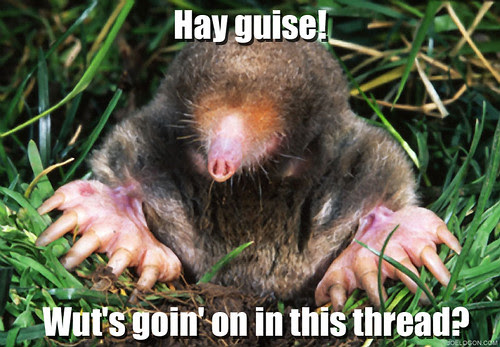 lol_mole_800