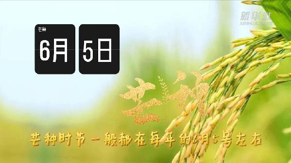88hmn7jtor2 Rm