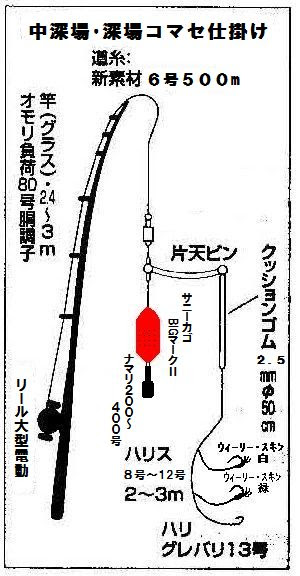 八丈島アサギク 仕掛け