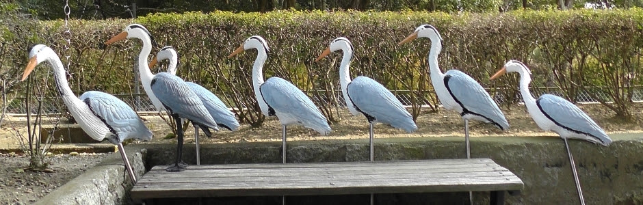 新潟県五泉市のアオサギコロニー伐採 サギコロニー 野鳥調査