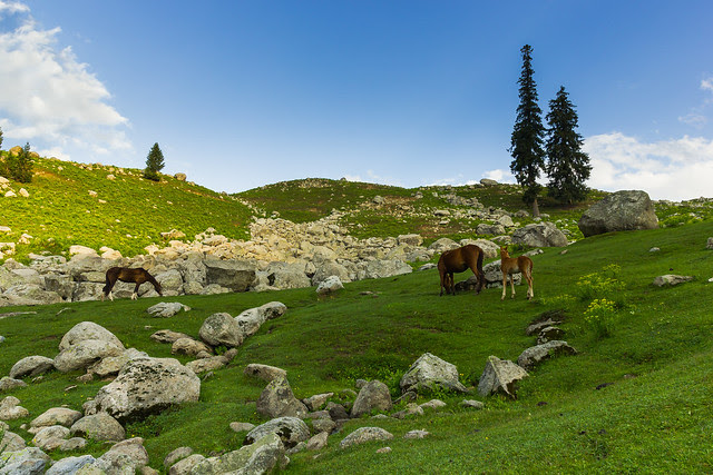 Jahaz Banda (Meadows) [Explored]
