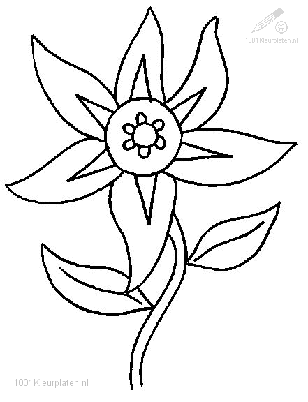 kleurplaat bloem mien