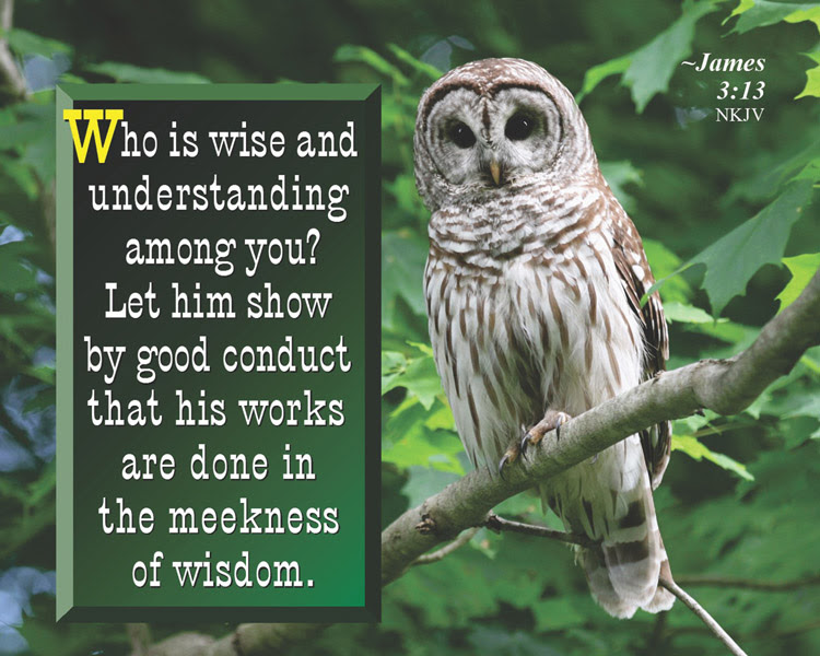 Illutrated Bible Verses