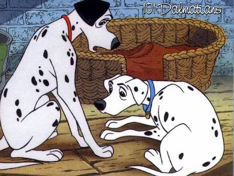 pics of 101 dalmatians. 101 dalmatians