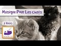 Collection musique relaxante pour chaton 334331-Musique douce pour chaton