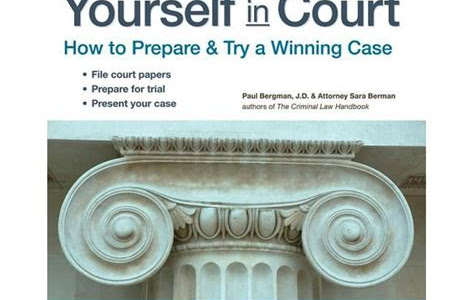 Read Represent Yourself In Court How To Prepare And Try A Winning Case Doc PDF