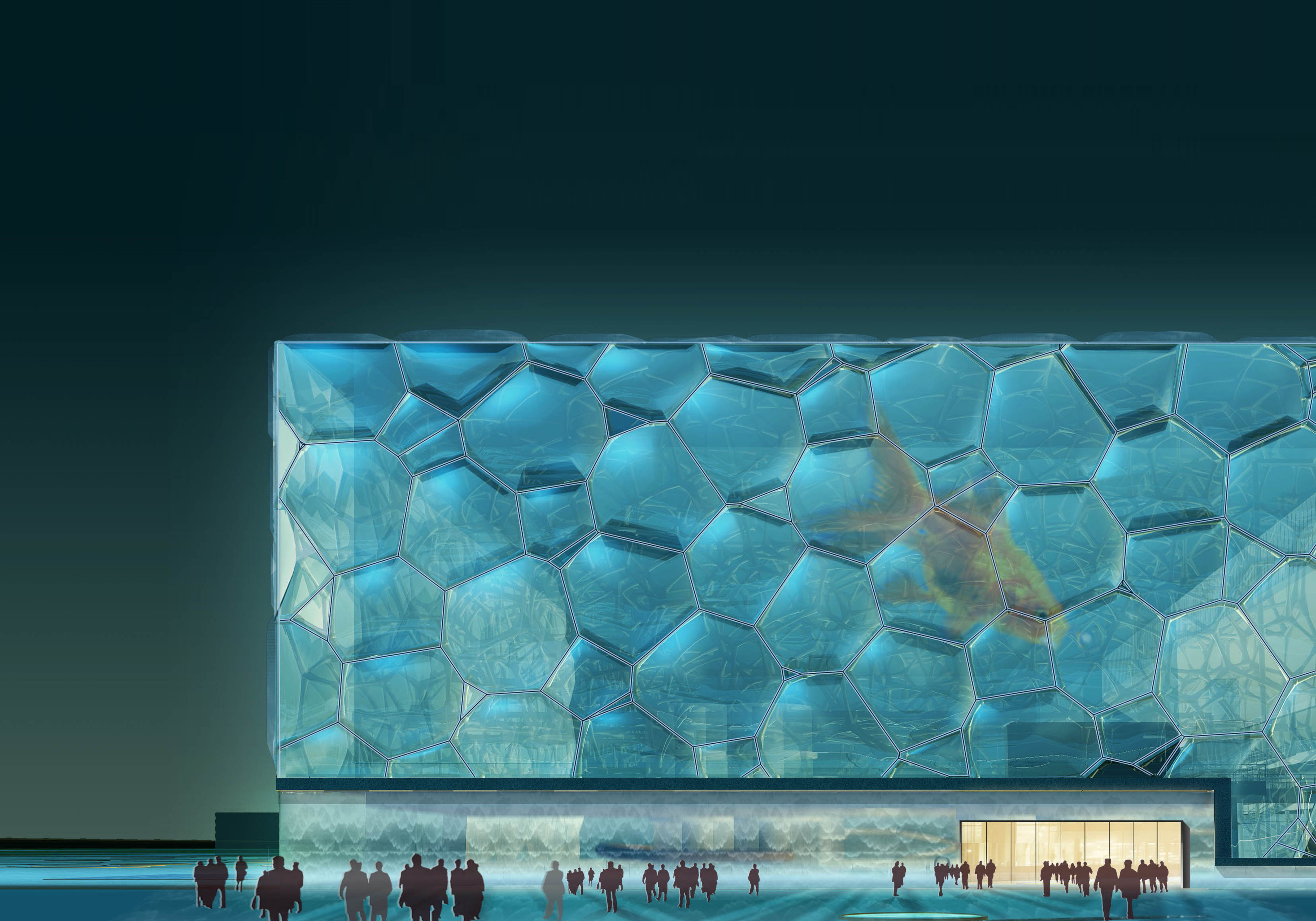 河一權 中澤泉汰 中村珍water Cube Awstin Eifion