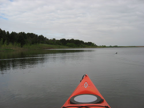 IMG_2035.JPG
