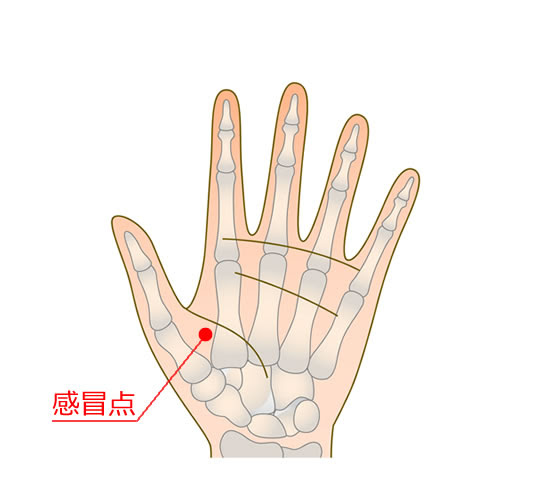 風邪に効くツボ つぼ症状編