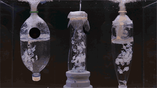 Soda botella incubadora