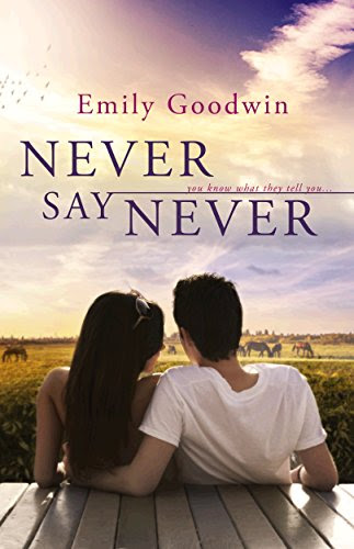 Never Say Never, by Emily Goodwin