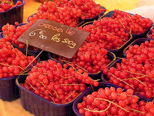 groseilles