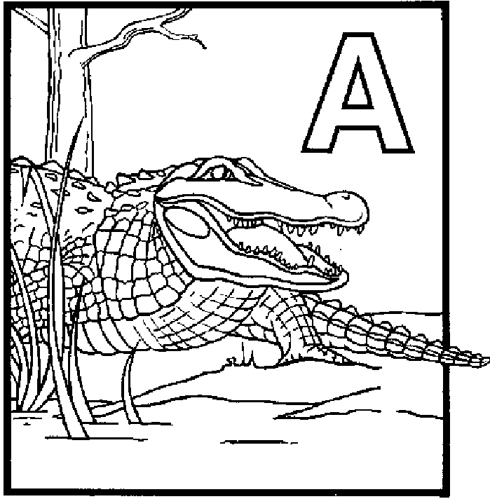 A is for Alligator coloring page with printable alphabet sheet.