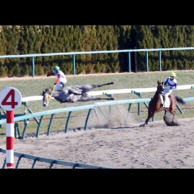スマホの待ち受け画像に使える馬のかっこいい画像ください 競馬まとめざんまい