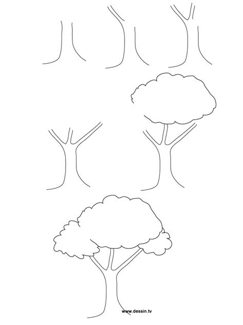 drawing tree