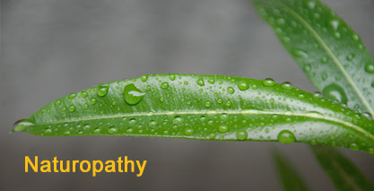 cipro remedy for bronchitis