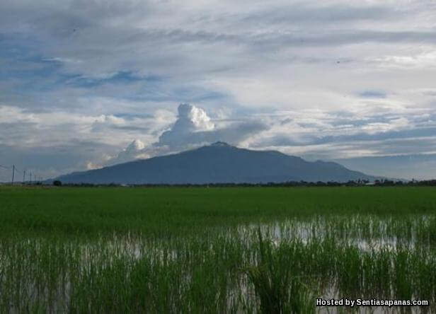 Gunung Jerai
