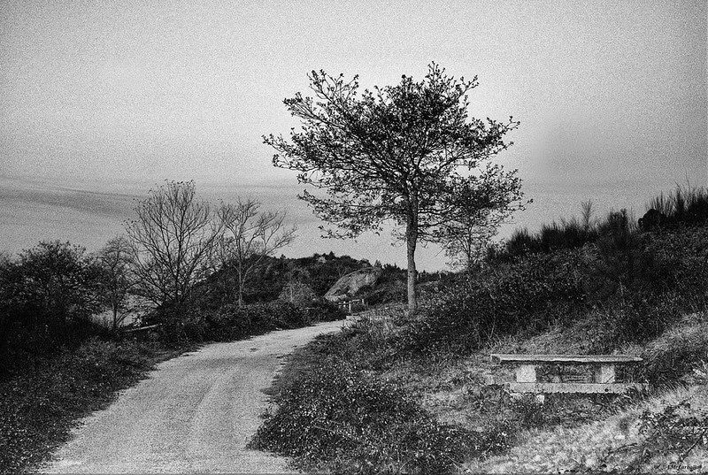 MOnte de la Fracha (Pontevedra)