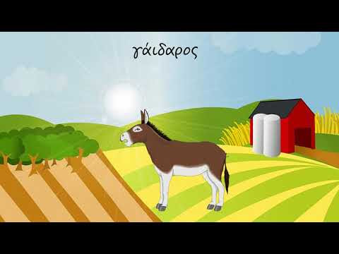 Εικόνα