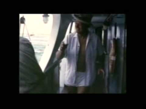 Hornblower's Wild Goose
