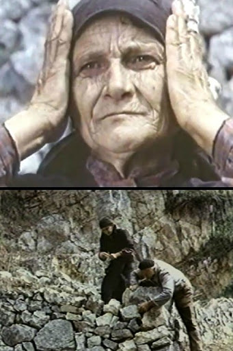 Kép