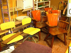 DSCN1746