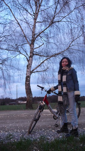 munich west + g + a bike