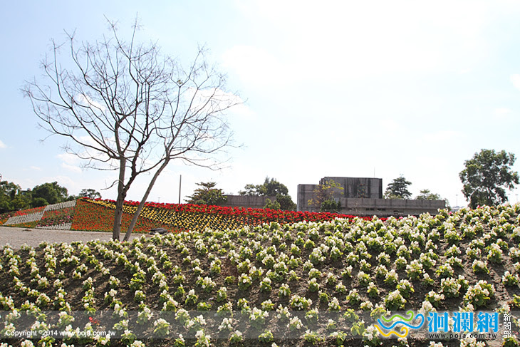 國福花海-03.jpg