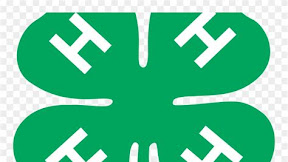 Unleash your Creativity with 4-H Clover No Background - A Versatile Design Element for Any Project